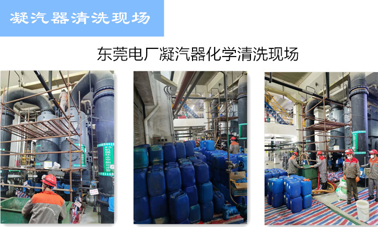 凝汽器深夜黄色视频在线观看現場